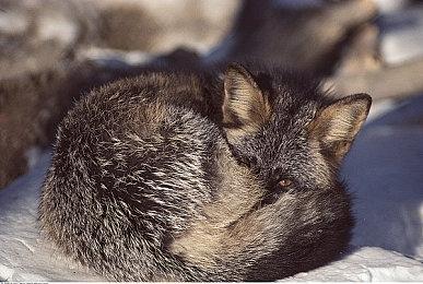 《量子误差》M站均分仅47 开发商回应接受批评拒绝辱骂